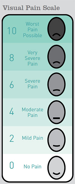 Visual Pain Scale