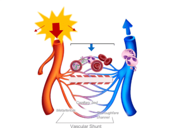 covid-19 circulation problems